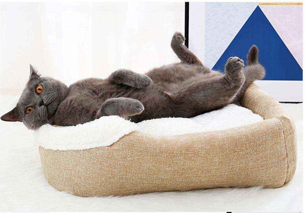 Casetta per Gatti Ripiegabile "Tempio delle Fusa" – Morbida, Accogliente e Versatile by Dog Moda