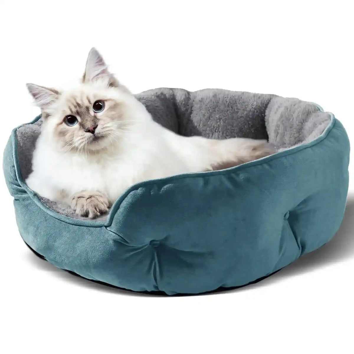 Cuccia Tonda “Nido di Coccole” per Cani Piccoli e Medi by Dog Moda
