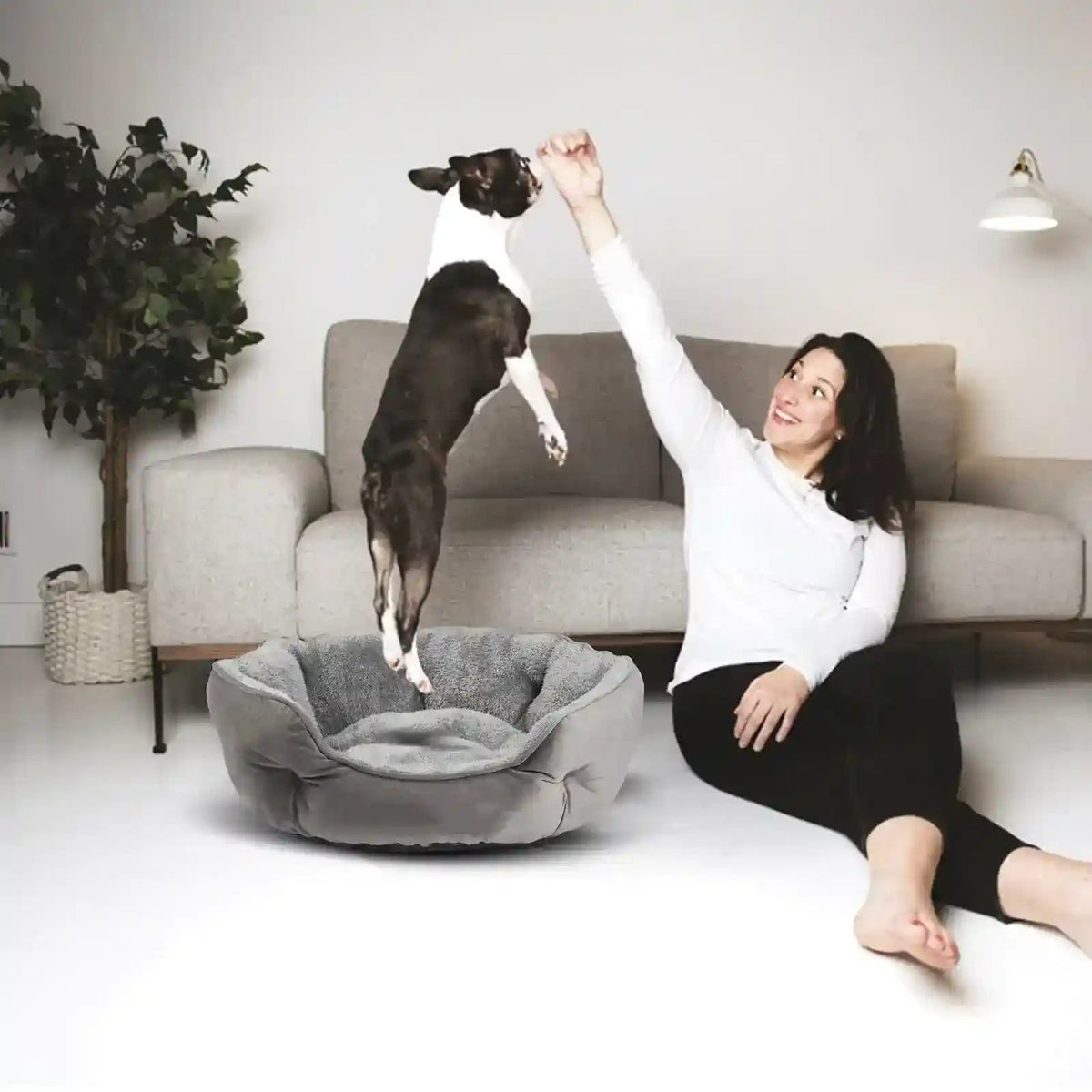 Cuccia Tonda “Nido di Coccole” per Cani Piccoli e Medi by Dog Moda