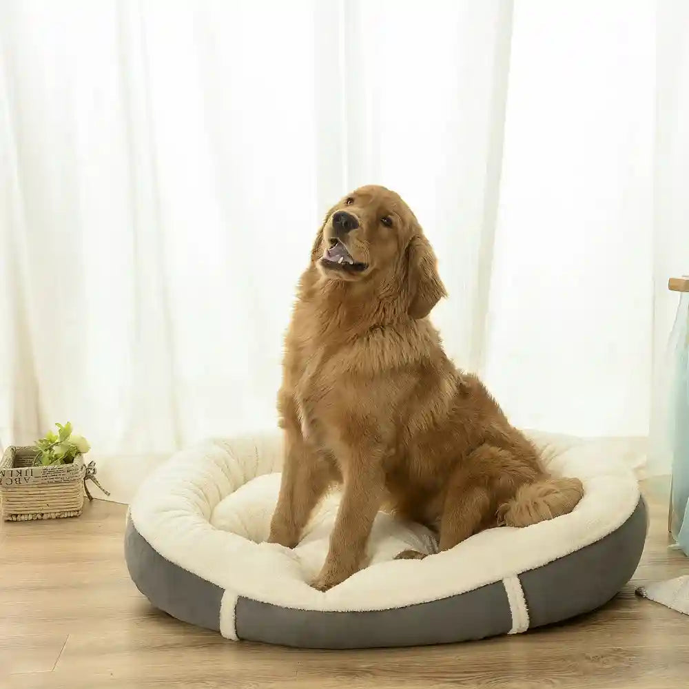 Cuccia Ovale in Pile Pelo d'Agnello per Cani e Gatti by Dog Moda