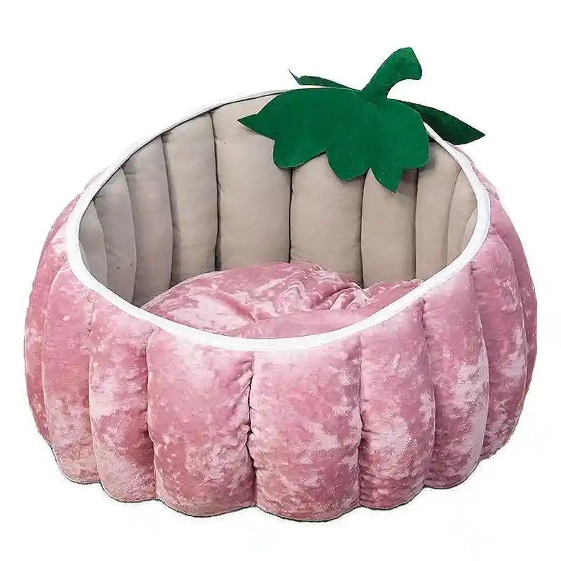 Cuccia Zucca Halloween per Gatti - Cuscino Sfoderabile by Dog Moda